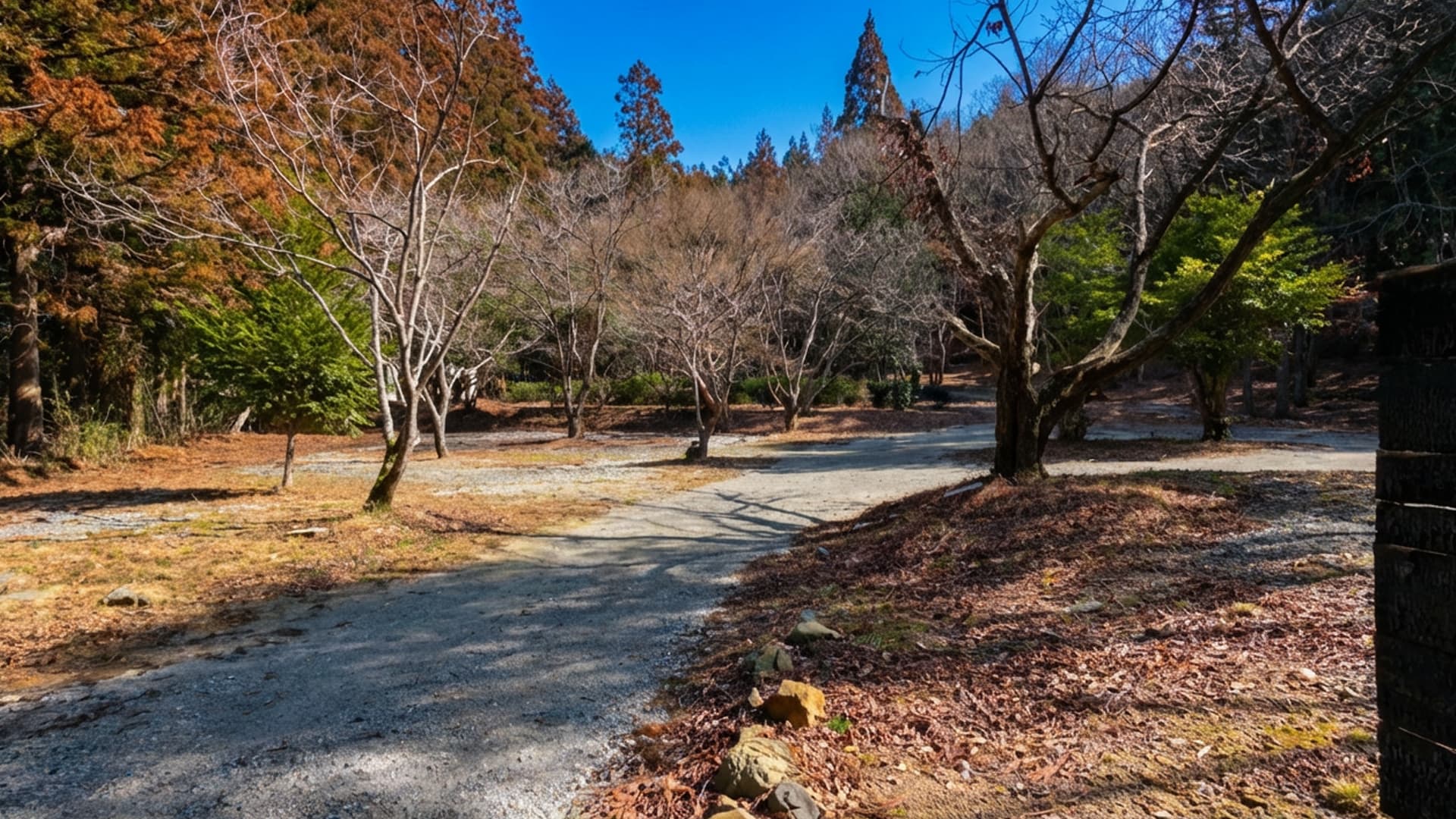 知る人ぞ知る、静岡・浜松の穴場キャンプ場