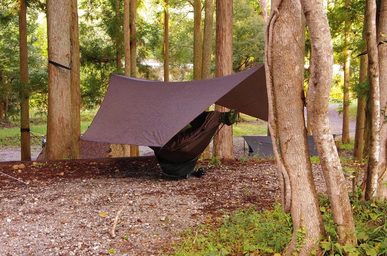 木々と眠る、大人のハンモック専用プラン